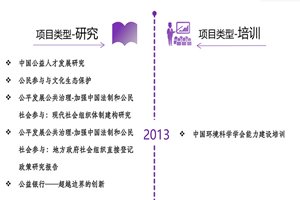 插死你个老逼网非评估类项目发展历程